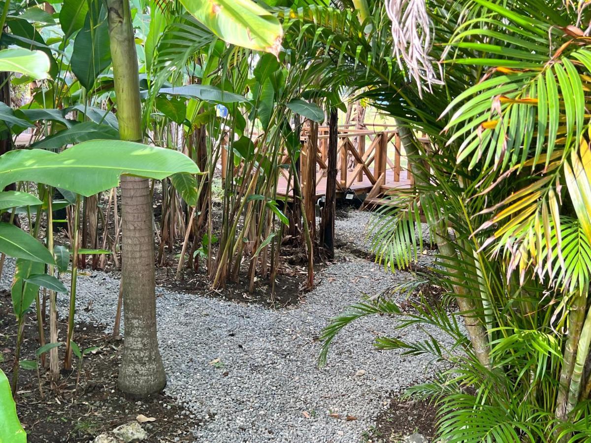 Jamaica Colors Hotel And Eco-Retreat Port Antonio Eksteriør billede