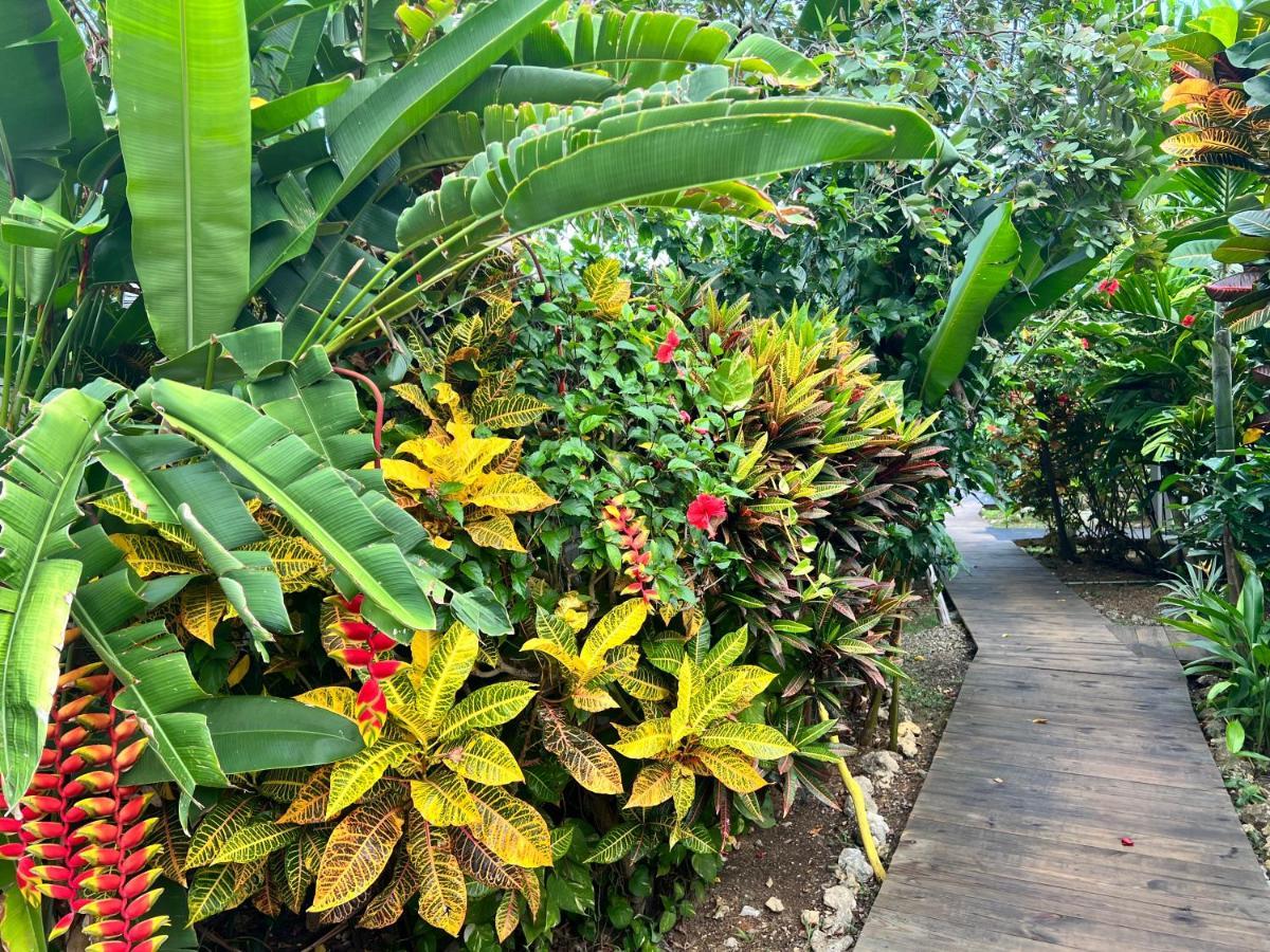 Jamaica Colors Hotel And Eco-Retreat Port Antonio Eksteriør billede