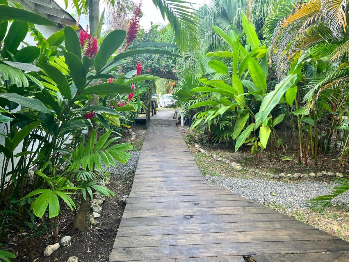 Jamaica Colors Hotel And Eco-Retreat Port Antonio Eksteriør billede