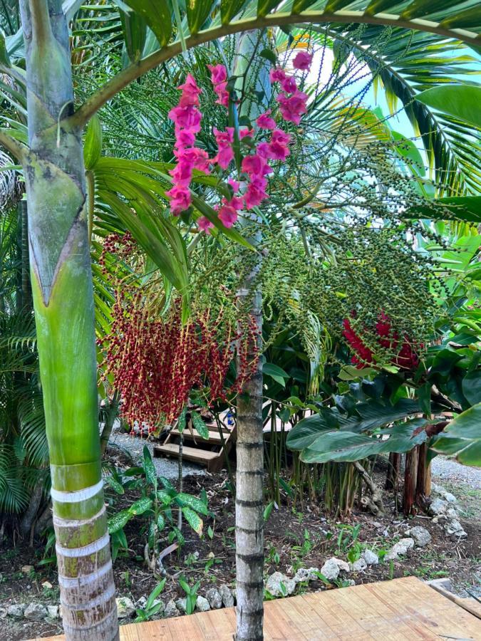 Jamaica Colors Hotel And Eco-Retreat Port Antonio Eksteriør billede